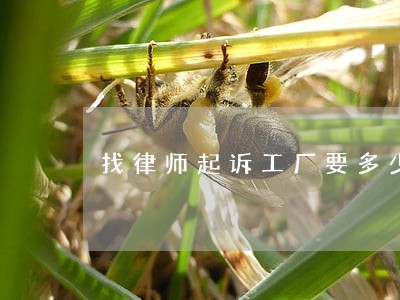 找律师起诉工厂要多少钱 找律师起诉工厂要多少钱