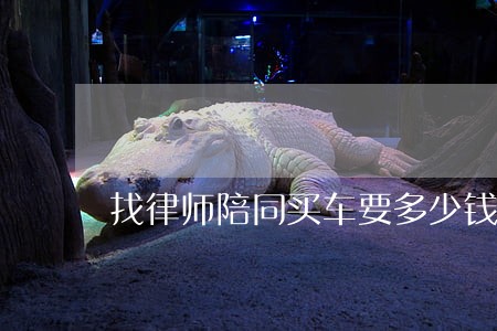 找律师陪同买车要多少钱 找律师陪同买车要多少钱