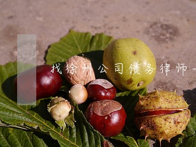 找徐州公司债务律师一对一咨询 找徐州公司债务律师一对一咨询