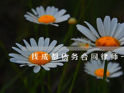找成都债务合同律师一对一咨询 找成都债务合同律师一对一咨询