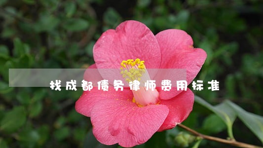 找成都债务律师费用标准 找成都债务律师费用标准