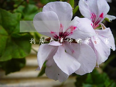 找房产律师哪家厉害 找房产律师哪家厉害