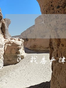 找房产律师打官司