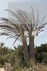 找房产律师电话号码 找房产律师电话号码