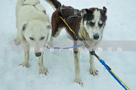 找房地产纠纷律师咨询 找房地产纠纷律师咨询