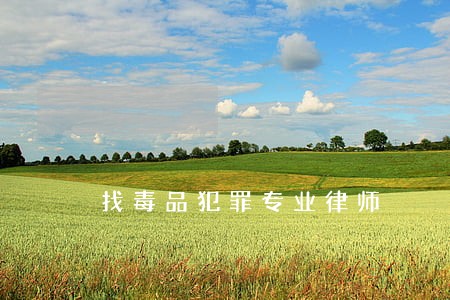 找毒品犯罪专业律师