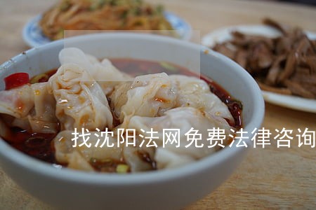 找沈阳法网免费法律咨询 找沈阳法网免费法律咨询