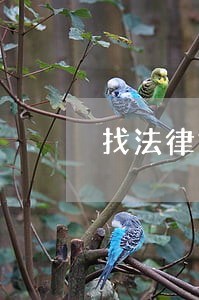 找法律援助律师的标准 找法律援助律师的标准