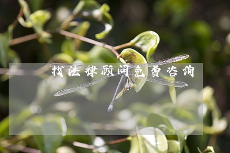 找法律顾问免费咨询 找法律顾问免费咨询