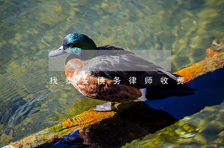 找泰安债务律师收费 找泰安债务律师收费