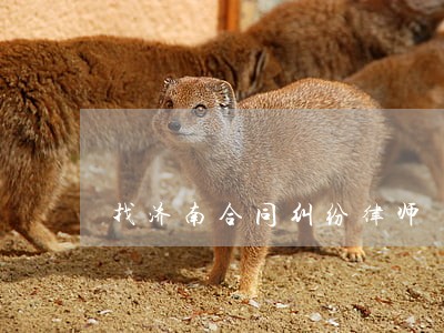 找济南合同纠纷律师 找济南合同纠纷律师