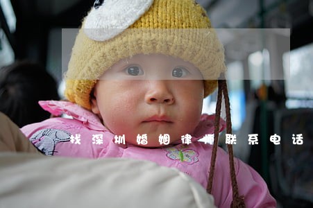 找深圳婚姻律师联系电话 找深圳婚姻律师联系电话