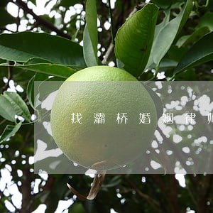 找灞桥婚姻律师