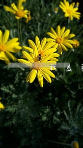 找益阳倾销补贴律师咨询 找益阳倾销补贴律师咨询
