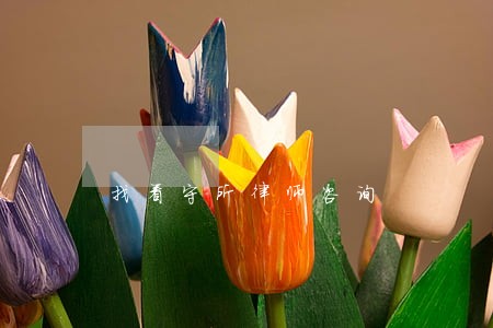 找看守所律师咨询 找看守所律师咨询