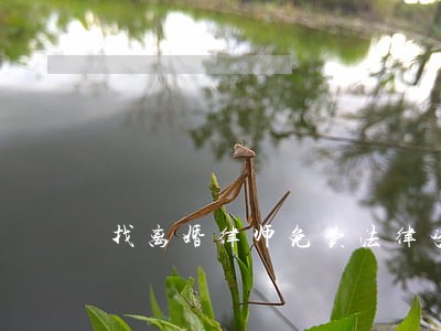 找离婚律师免费法律咨询 找离婚律师免费法律咨询