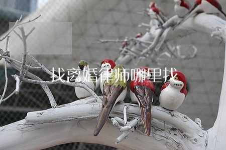 找离婚律师哪里找 找离婚律师哪里找