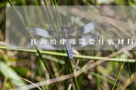 找离婚律师需要什么材料 找离婚律师需要什么材料