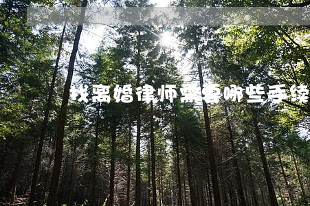 找离婚律师需要哪些手续 找离婚律师需要哪些手续