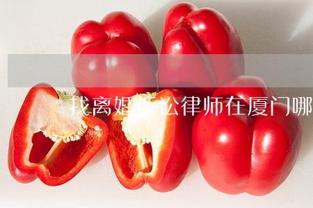 找离婚诉讼律师在厦门哪个好 找离婚诉讼律师在厦门哪个好