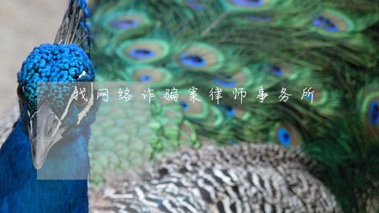 找网络诈骗案律师事务所