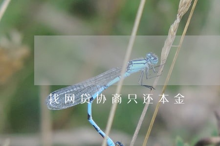 找网贷协商只还本金