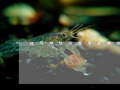 找苏州姑苏区专业律师 找苏州姑苏区专业律师