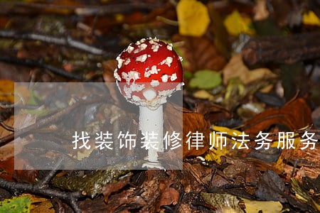 找装饰装修律师法务服务 找装饰装修律师法务服务
