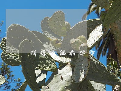 找遗产继承律师 找遗产继承律师