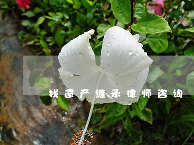 找遗产继承律师咨询 找遗产继承律师咨询
