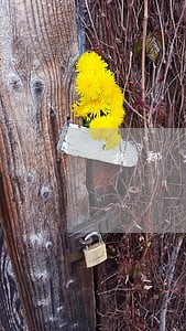 找郑州债务律师费用标准