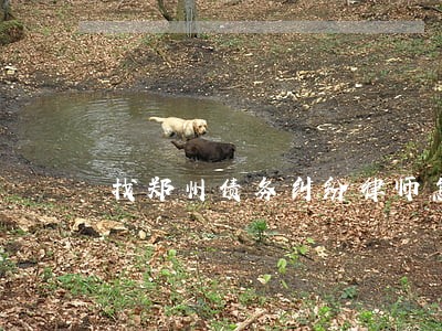 找郑州债务纠纷律师怎么收费 找郑州债务纠纷律师怎么收费