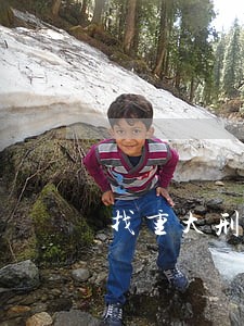 找重大刑事律师事务所