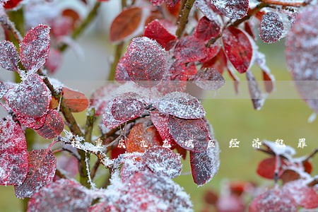 找重庆九龙坡区经济犯罪律师咨询