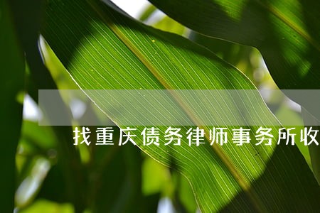 找重庆债务律师事务所收费标准 找重庆债务律师事务所收费标准