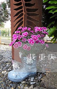 找重庆南岸区债务律师事务所费用 找重庆南岸区债务律师事务所费用