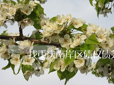 找重庆南岸区债权债务律师 找重庆南岸区债权债务律师
