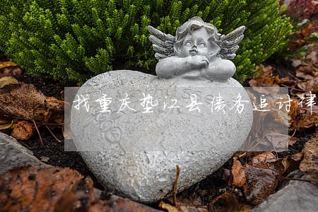 找重庆垫江县债务追讨律师 找重庆垫江县债务追讨律师