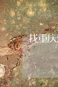 找重庆江津区债务追讨律师