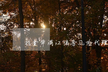 找金华浦江债务风险代理律师