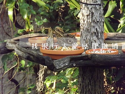找银行大堂经理撤销逾期 找银行大堂经理撤销逾期