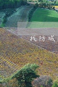 找防城港市交通事故律师 找防城港市交通事故律师