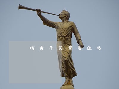 找黄牛买票违法吗