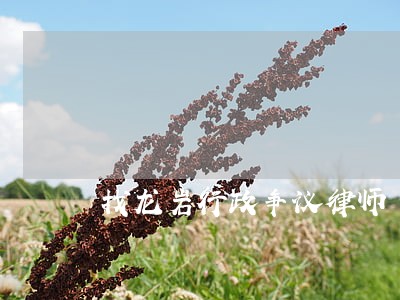 找龙岩行政争议律师