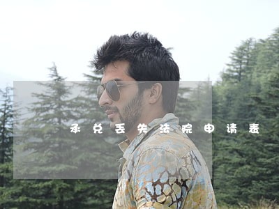 承兑丢失法院申请表 承兑丢失法院申请表