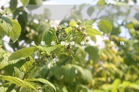 承包合同律师咨询专线 承包合同律师咨询专线