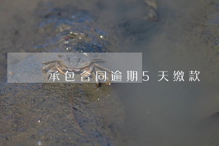 承包合同逾期5天缴款 承包合同逾期5天缴款