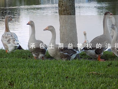 承包土用益物权的法律条文