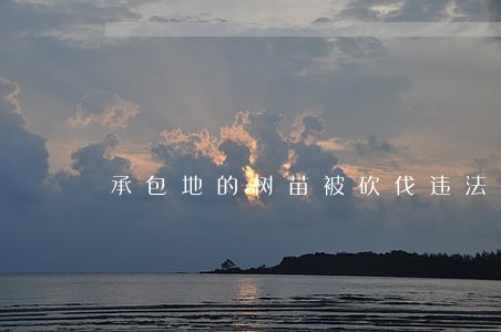 承包地的树苗被砍伐违法吗 承包地的树苗被砍伐违法吗