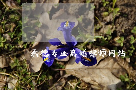 承德专业离婚律师网站